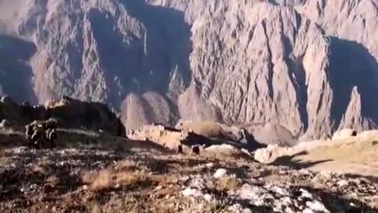 "Kıran-4" operasyonunda 44 sığınak ve barınak imha edildi