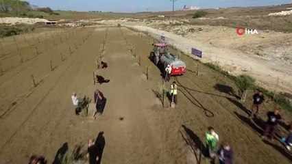 Atatürk için '1001' adet zeytin fidanı dikildi