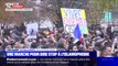 La marche contre l'islamophobie arrive place de la Nation à Paris