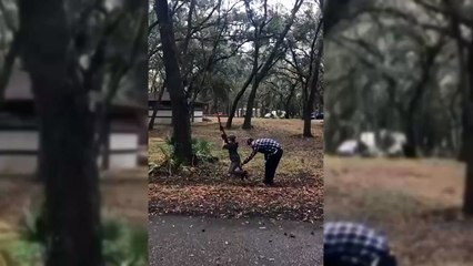 Kid On A Rope Swing Falls Off