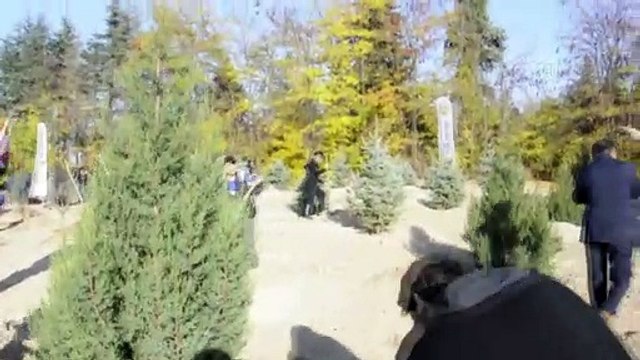 81 çocuk Anıtkabir'de 'Geleceğe Nefes' oldu - ANKARA