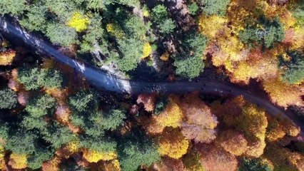 Demirci ormanlarında hazan renkleri - MANİSA