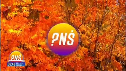 PnŚ - czołówka i tyłówka