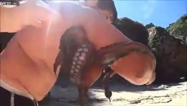 Ce poulpe ne veut pas lacher cet homme... un peu collant