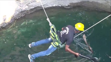 Intervention périlleuse pour sauver un serpent très dangereux