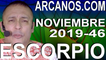 ESCORPIO NOVIEMBRE 2019 ARCANOS.COM - Horóscopo 10 al 16 de noviembre de 2019 - Semana 46