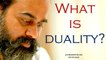 Acharya Prashant, with students: What is duality?