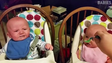 Try Not To Laugh - He Got Surprised - Funny Videos 2019