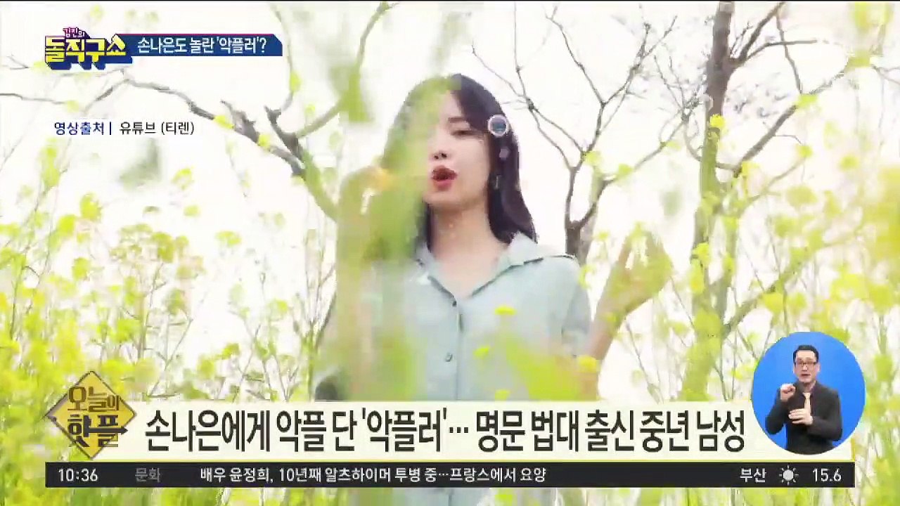 [핫플]손나은도 놀란 ‘악플러’?…S대 출신 중년 남성