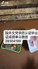 教留服学历认证Q/微29304199〈OSU毕业证成绩单offer〉留信认证/俄亥俄州立大学毕业证成绩单offer，雅思成绩单,在读证明,使馆认证(回国人员证明)TheOhioStateUniversity