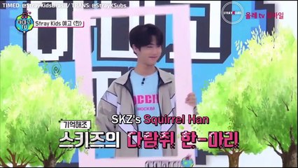 (STRAY KIDS) 10 MINUTES WITH HAN