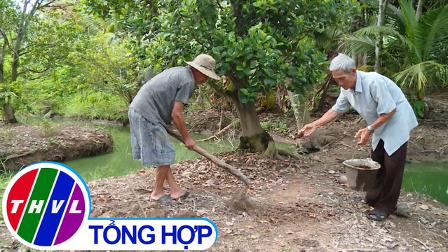 Chuyện kể đất phương Nam: Cần Thơ phố cũ nét xưa - Tập 2 | Có một miệt vườn