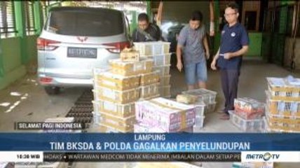 Penyelundupan 1.500 Burung Digagalkan BKSDA Lampung