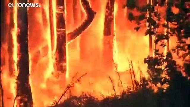 Сидней во власти огненной стихии