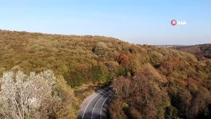 Beykoz sarı renge büründü, kartpostallık görüntü oluştu