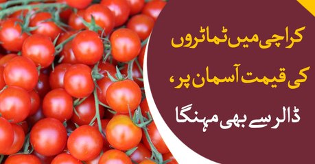 Tomato price crosses dollar