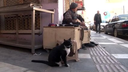Rus saldırısından kaçan Özbek Türk, Suriye sınırında ayakkabı boyacılığı yapıyor