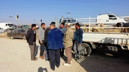Ilgın'da hayvan pazarındaki veba karantinası sona erdi - KONYA