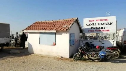 Ilgın'da hayvan pazarındaki veba karantinası sona erdi