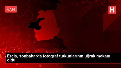 Erciş, sonbaharda fotoğraf tutkunlarının uğrak mekanı oldu