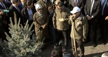 Son dakika: Cumhurbaşkanı Erdoğan, ilk fidanı dikerek etkinliği başlattı! 11 milyon fidan toprakla buluşacak