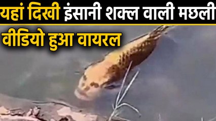 China में दिखी Human Face वाली Fish, Video हुआ Viral । वनइंडिया हिंदी