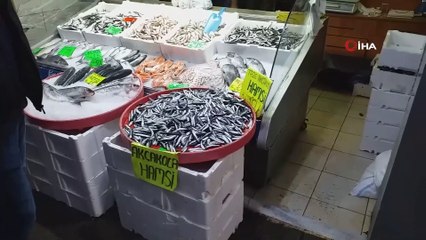 Hamsi bolluğuna rağmen fiyatlar yükseliyor
