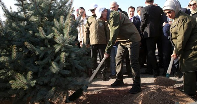 Son dakika: Cumhurbaşkanı Erdoğan, ilk fidanı dikerek Geleceğe Nefes etkinliğini başlattı! 11 milyon fidan toprakla buluşacak