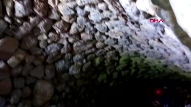 Tokat su kuyusuna düşen inek öldü
