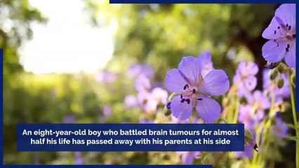'Wonderful' Portobello boy, 8, who battled brain tumours for half his life dies with parents by his side