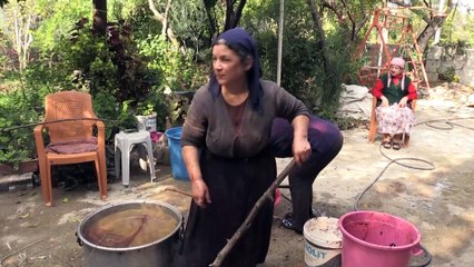 İlçeyi defne kokusu sardı - HATAY