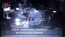 Torino - Furti di rame in impianti fotovoltaici- 10 arresti (11.11.19)