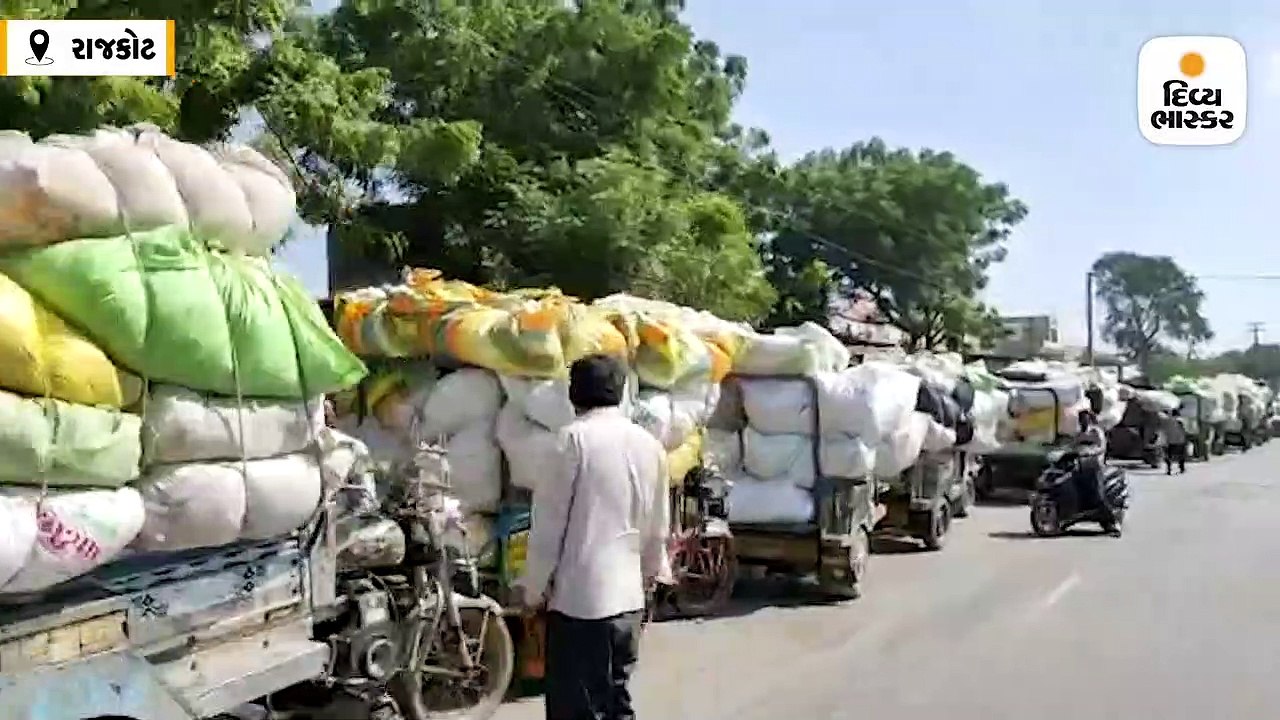 વાવાઝોડું ટળતા સૌરાષ્ટ્રના યાર્ડો મગફળી અને કપા...