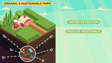 Benedict T. Palen, Jr - Organic Sustainable Farming is the Future of Agriculture