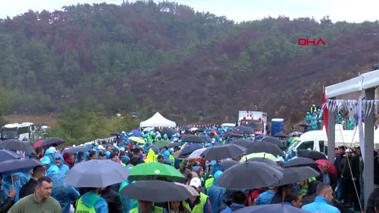 İzmir binlerce izmirli yağmura aldırmadan yanan ormanlık alanlara fidan dikti
