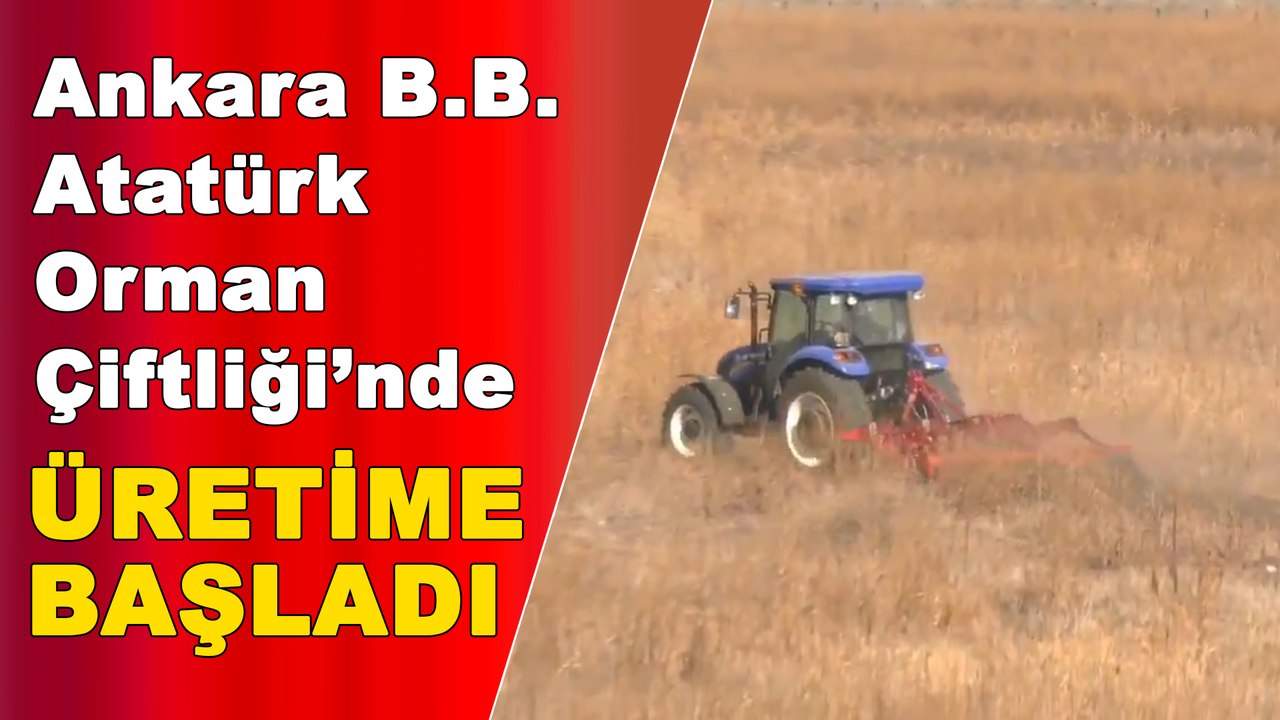 Ankara Büyükşehir Belediyesi, Atatürk Orman Çiftliği'nde üretime başladı