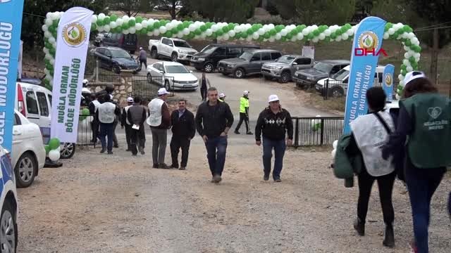 Muğla-200 bin fıstık çamı fidanı toprakla buluştu