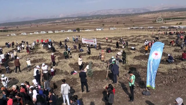 Milli Ağaçlandırma Günü - KAHRAMANMARAŞ