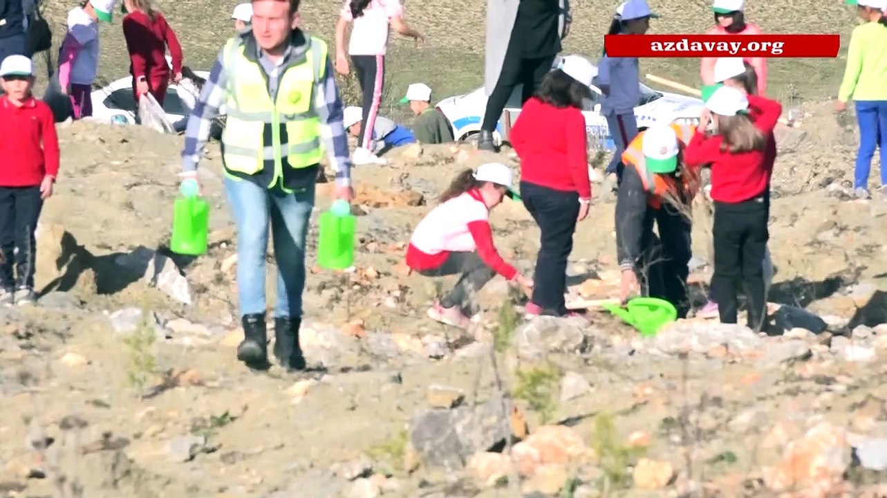 Azdavay'da Geleceğe Nefes kampanyası fidan dikimi