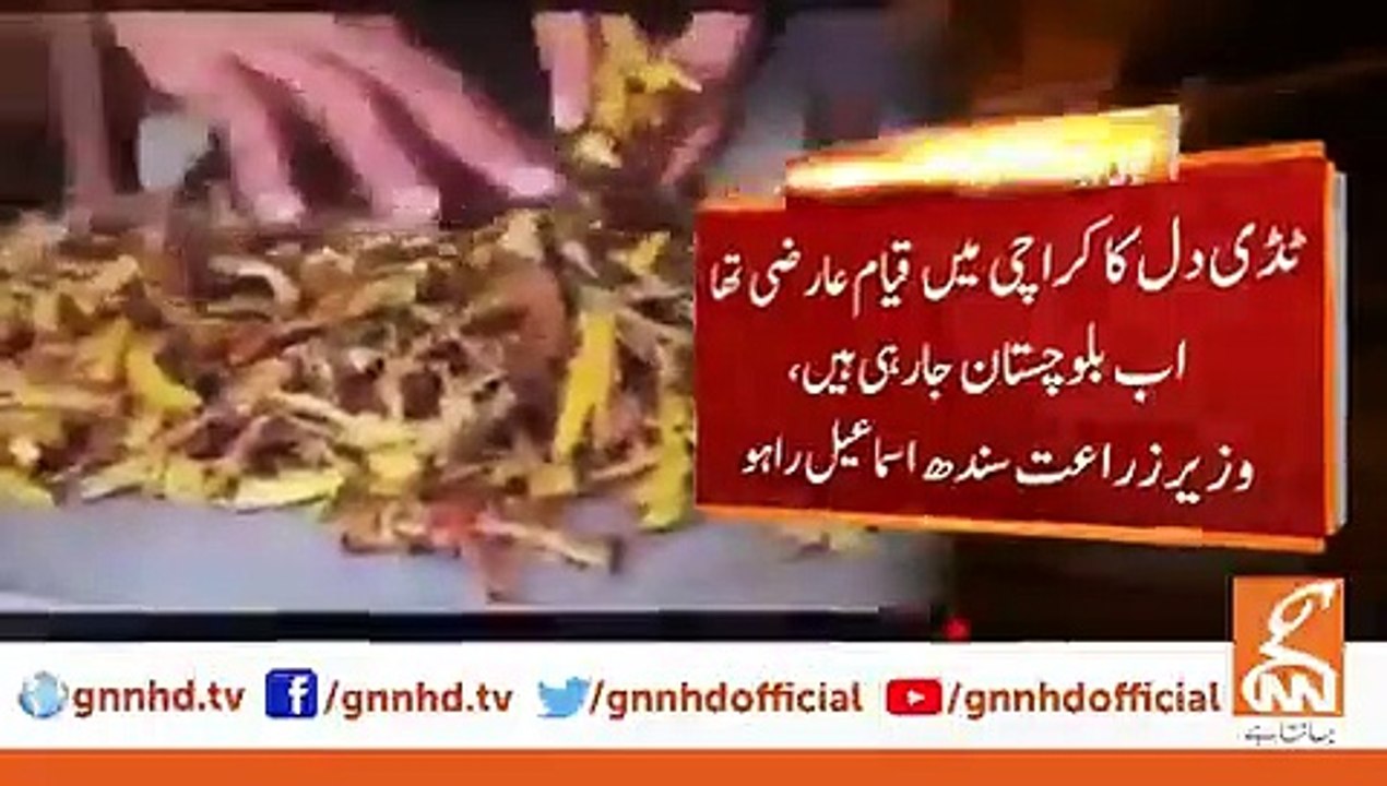 karachi UOwcfth