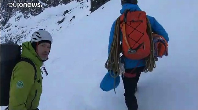 Вертолёт для овцы: необычная спасательная операция прошла в Норвегии