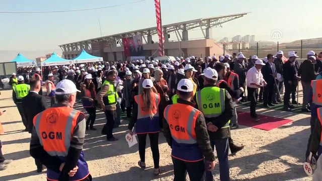 Çorum'da 1 saatte en fazla fidan dikimi rekor denemesi (1)