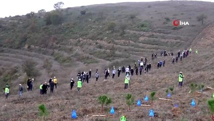 Her yıl Kıbrıs kadar arazi erozyona kurban gidiyor