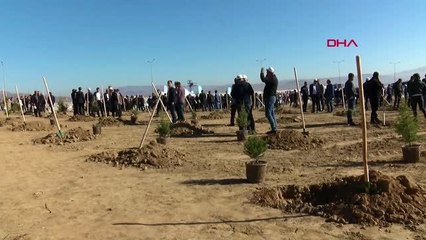 'Bingöl, fidan sahiplenme seferberliğinde türkiye 3'üncüsü'