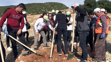 Milli Ağaçlandırma Günü - ADIYAMAN