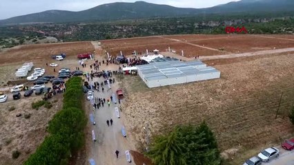 Muğla-200 bin fıstık çamı fidanı toprakla buluştu-2