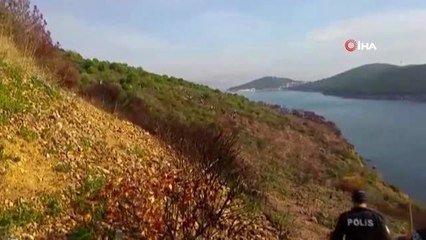 Burgazada'da yanan alanlar 'Geleceğe Nefes Ol' projesi kapsamında ağaçlandırıldı