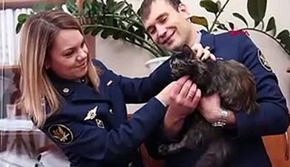 Cezaevine uyuşturucu taşıyan kurye kediye yuva aranıyor