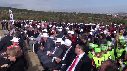 32 bin fidan toprakla buluşturuldu - BİLECİK