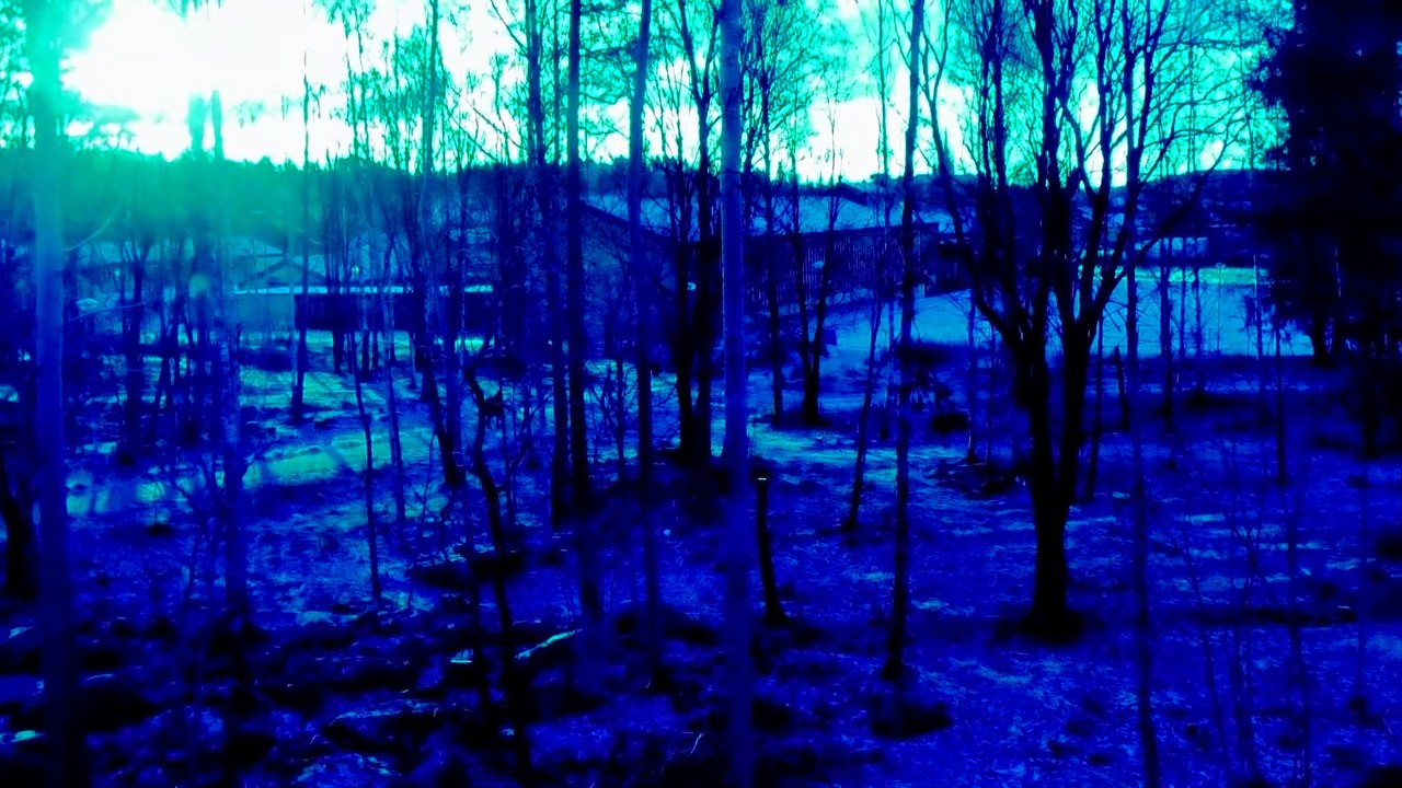 Nov 5 2019 DL1